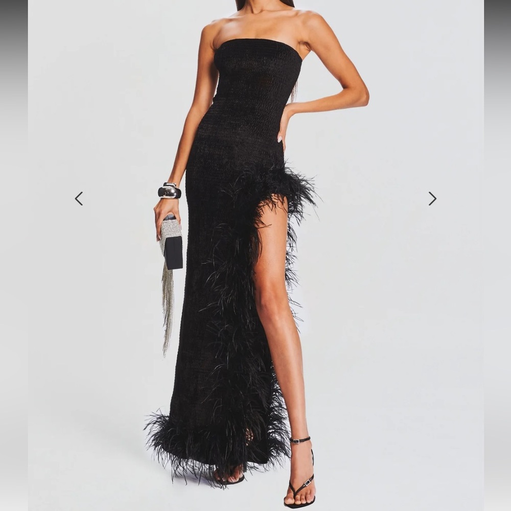 NWT Lula Feather Dress